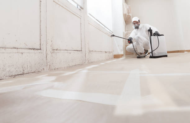24/7 Emergency Mold Testing experts in Bethesda, MD