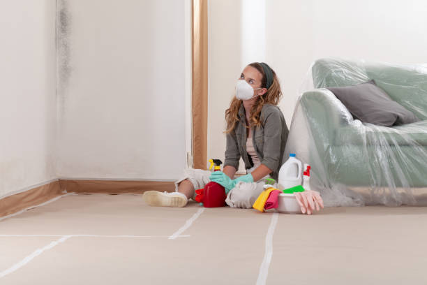 Reliable Mold Testing contractor in Bethesda, MD by WQB Mold Removal