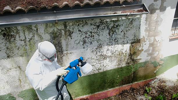Top rated local Mold Testing specialists in Bethesda, MD